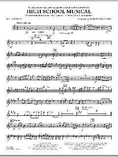 High School Musical von David Lawrence (Download) 