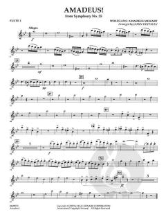 Amadeus! von Wolfgang Amadeus Mozart 