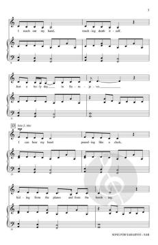 Song For Sarajevo von Judy Collins (Download) 