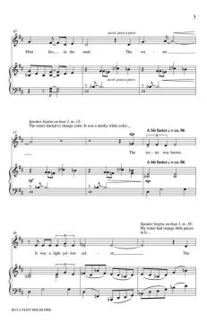 But A Flint Holds Fire (Andrea Ramsey) 