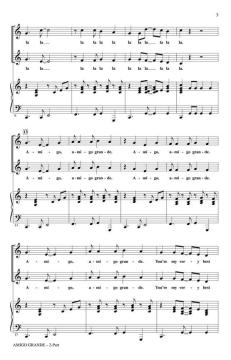 Amigo Grande (George L.O. Strid) 