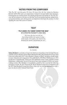 Fly, Fly, Fly von Kelsey Hohnstein 