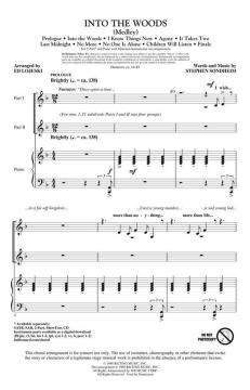 Into The Woods (Medley) (Stephen Sondheim) 