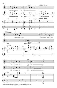 Stephen Schwartz - A Musical Celebration (Stephen L. Schwartz) 