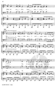 Learn To Fly von Foo Fighters (Download) 