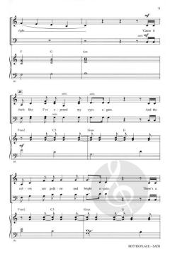 Better Place von Rachel Platten (Download) 