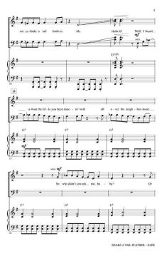 Shake A Tail Feather (Ray Charles) 