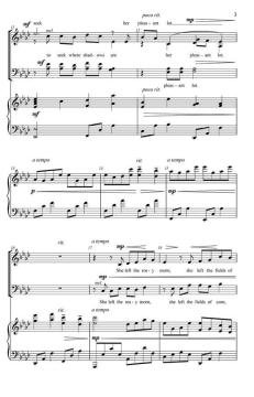 Dream Land (Kevin A. Memley) 