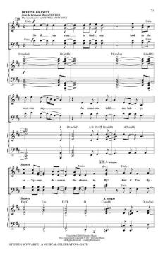 Stephen Schwartz - A Musical Celebration (Stephen L. Schwartz) 