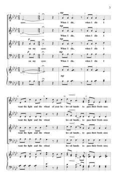 The Reason for My Song von Bradley Ellingboe 
