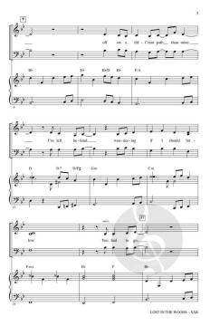 Lost in the Woods von Kristen Anderson (Download) 