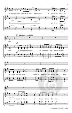 A Bundle of Straw von James C. Ward (Download) 