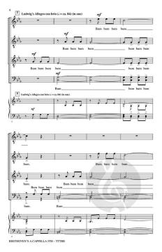 Beethoven's A Cappella 5th von Ludwig van Beethoven 