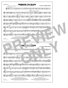 Tribute To Elvis Dont Be Cruel And All Shook Up von Johnnie Vinson (Download) 