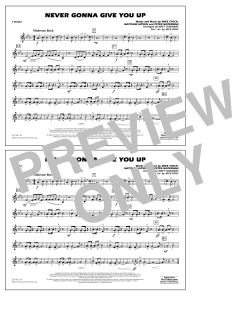Never Gonna Give You Up von Rick Astley (Download) 