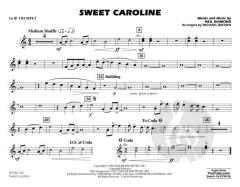 Sweet Caroline von N. Diamond 