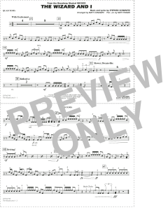 The Wizard and I von Stephen Schwartz (Download) 