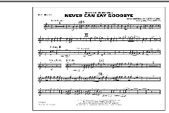 Never Can Say Goodbye von The Jackson 5 (Download) 