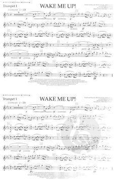 Wake Me Up! 
