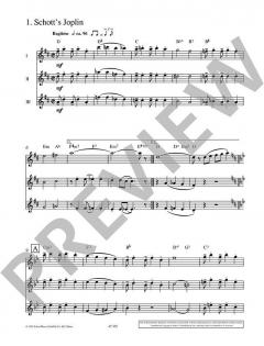 Flute Fun Vol. 3 von Leslie Searle 
