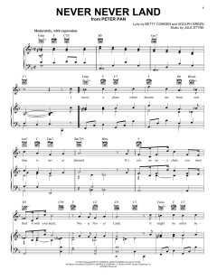 Never Never Land von Betty Comden (Download) 