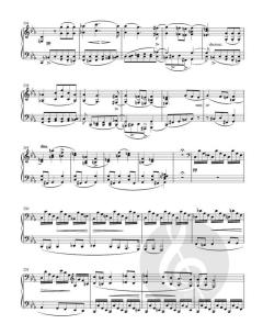 Sonate für Klavier c-Moll D 958 von Franz Schubert im Alle Noten Shop kaufen