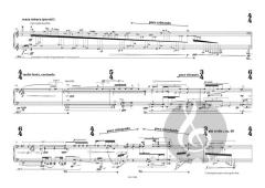 whirling tissue of light von Matthias Pintscher für Klavier solo im Alle Noten Shop kaufen
