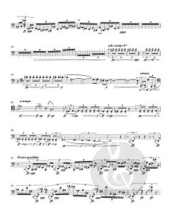 ucelli e ucelletti (Manfred Trojahn) 