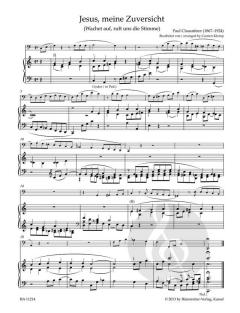 organ plus one: Tiefe Instrumente I (Carsten Klomp) 