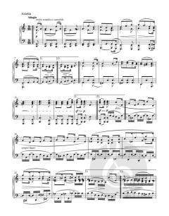 Sonate c-Moll op. 111 von Ludwig van Beethoven 