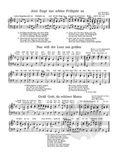 Bruder Singer (Download) 