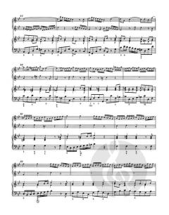 Triosonate op. 2/5 HWV 390a von Georg Friedrich Händel für zwei Violinen und Basso continuo im Alle Noten Shop kaufen