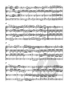 Sinfonie Nr. 13 F-Dur KV 112 von Wolfgang Amadeus Mozart 