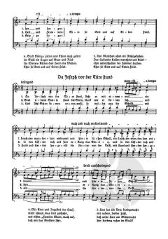 Die Weihnachtsgeschichte von Christian Lahusen (Download) 