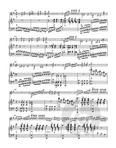 Rondo D 895 op. 70 von Franz Schubert 