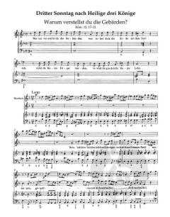 Harmonischer Gottesdienst: Weihnachtsfestkreis (Georg Philipp Telemann) 