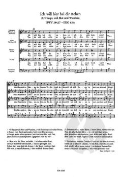 Passionschoräle aus der Matthäus-Passion BWV 244 (J.S. Bach) 