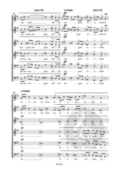 Stillae (Drops) von Mårten Jansson (Download) 