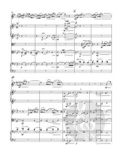 Konzert in Es op. 109 von Alexander Glasunow für Alt-Saxophon und Streichorchester im Alle Noten Shop kaufen (Partitur)