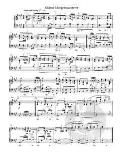 43 Klavierstücke für die Jugend op. 68 von Holger M. Stüwe im Alle Noten Shop kaufen