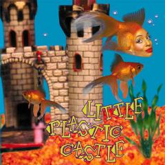 Little Plastic Castle von Ani DiFranco (Download) 