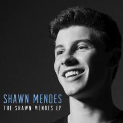 Life Of The Party von Shawn Mendes (Download) 