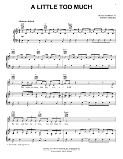 A Little Too Much von Shawn Mendes (Download) 