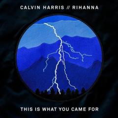 This Is What You Came For (feat. Rihanna) (Download) 