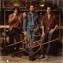 Drinkin' Problem von Shane McAnally (Download) 
