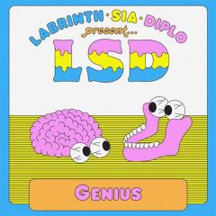 Genius von Sia Furler (Download) 
