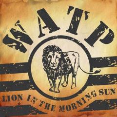 Lion In The Morning Sun von Will and the People (Download) 
