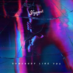 Somebody Like You von Sheppard (Download) 