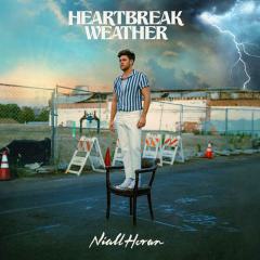 Arms Of A Stranger von Niall Horan (Download) 
