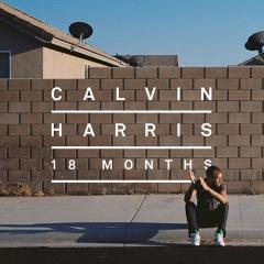 Drinking From The Bottle (feat. Tinie Tempah) von Calvin Harris (Download) 
